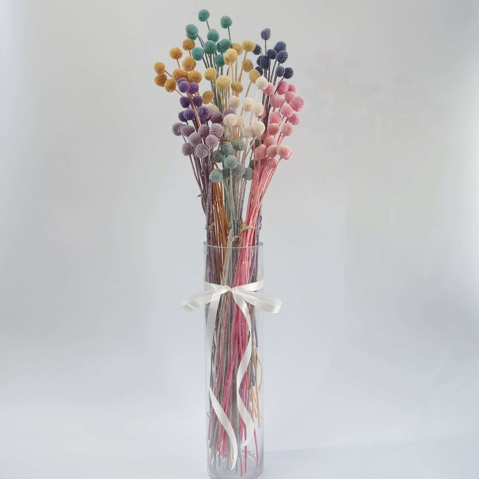 Craspedia (Billy Buttons) - Dried Flowers | Blooms Artisan PH