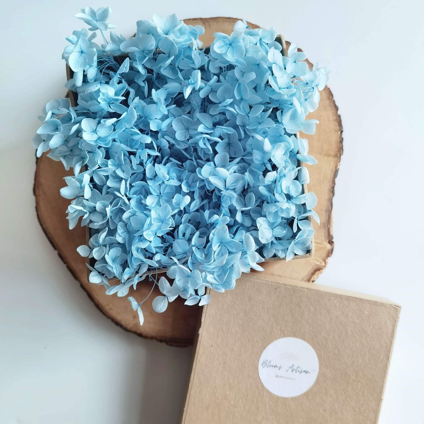 Preserved Hydrangeas