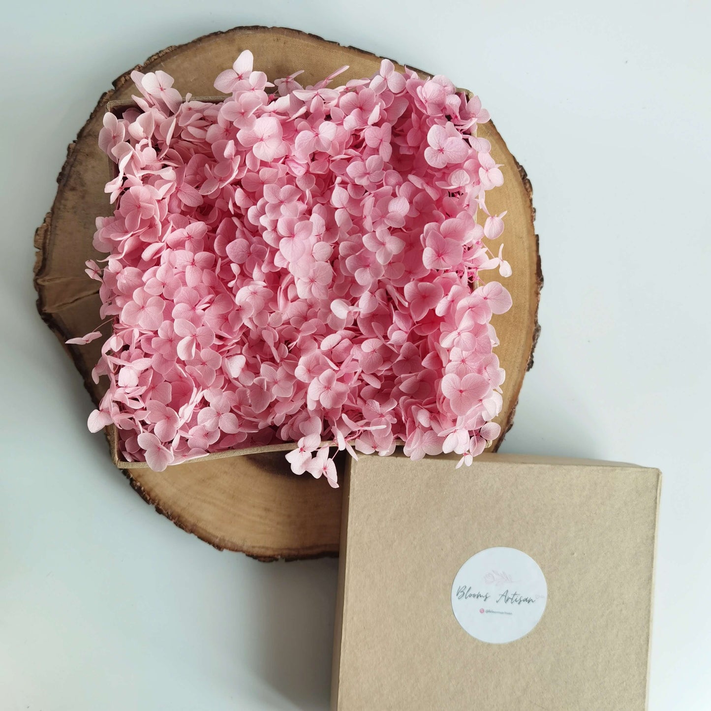 Hydrangea - Preserved Flowers | Blooms Artisan PH