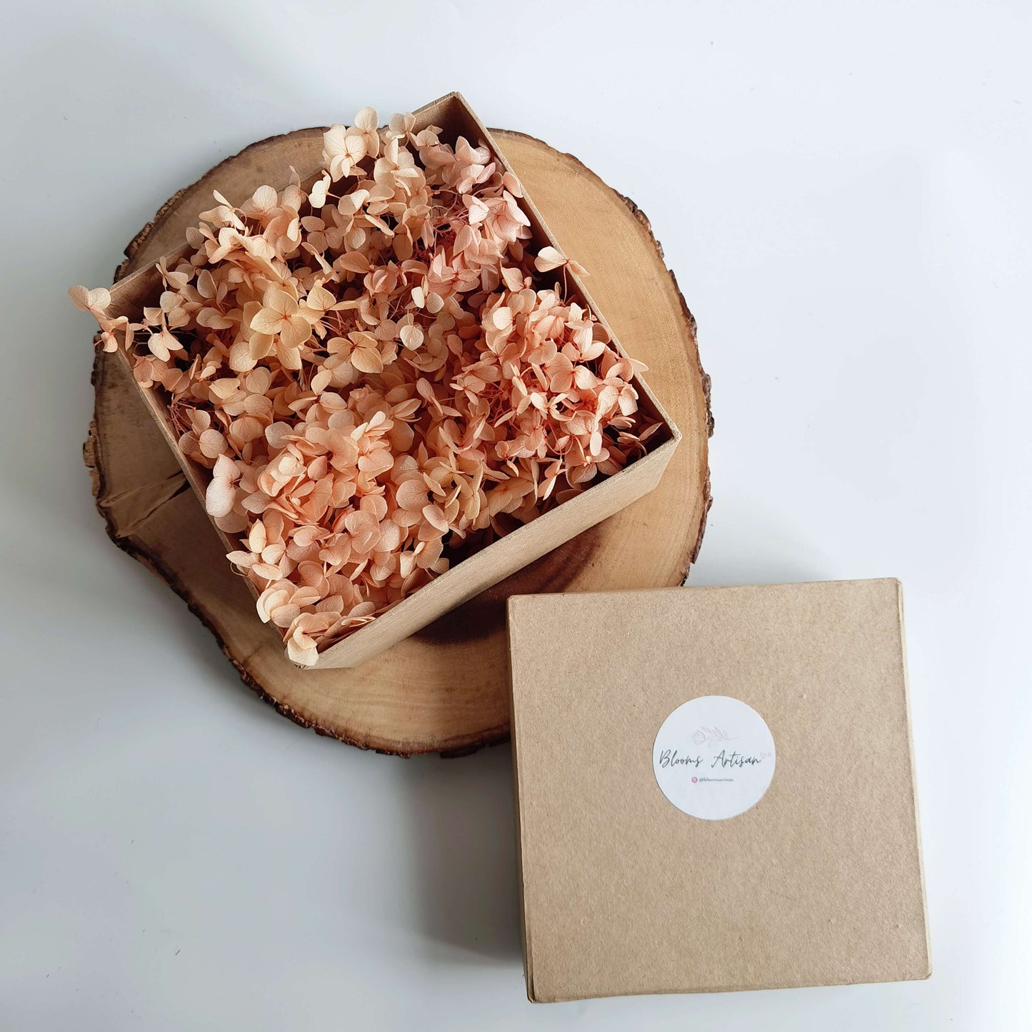 Hydrangea - Preserved Flowers | Blooms Artisan PH
