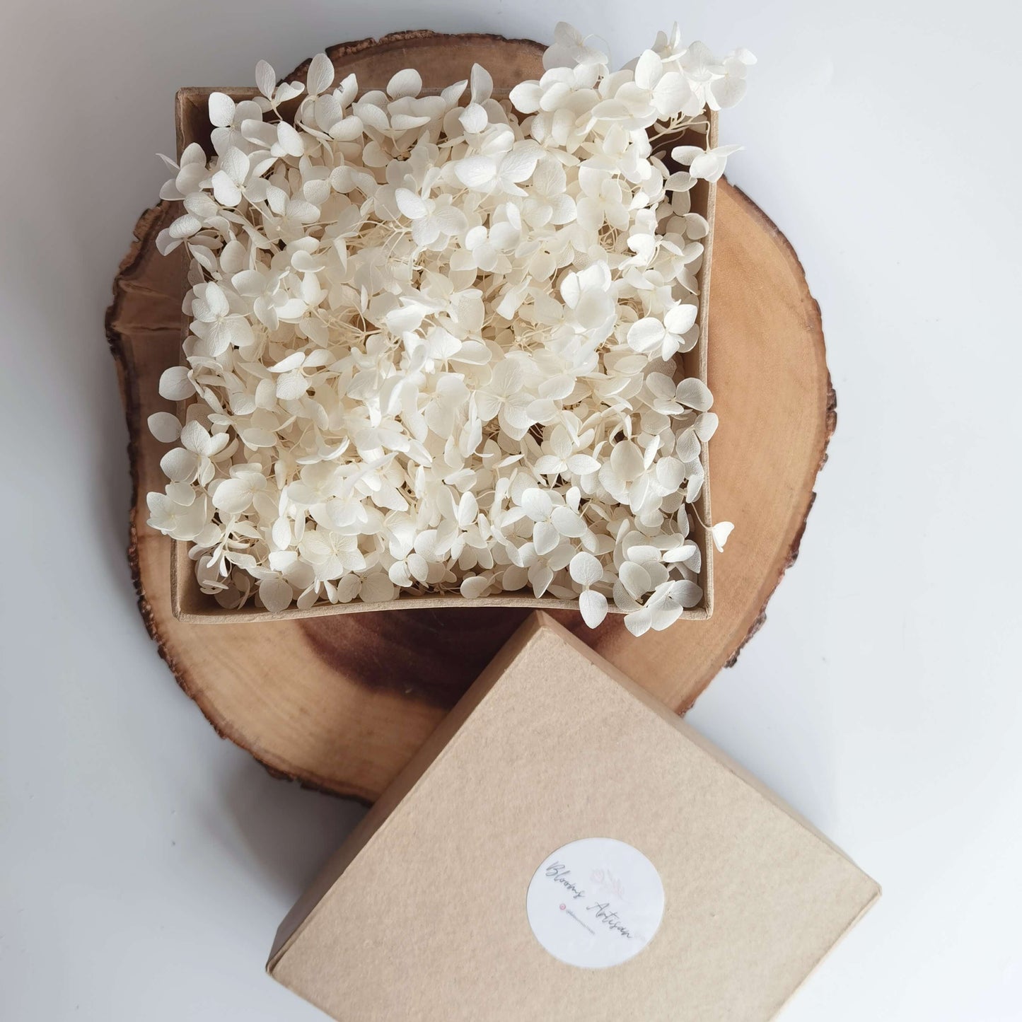 Hydrangea - Preserved Flowers | Blooms Artisan PH