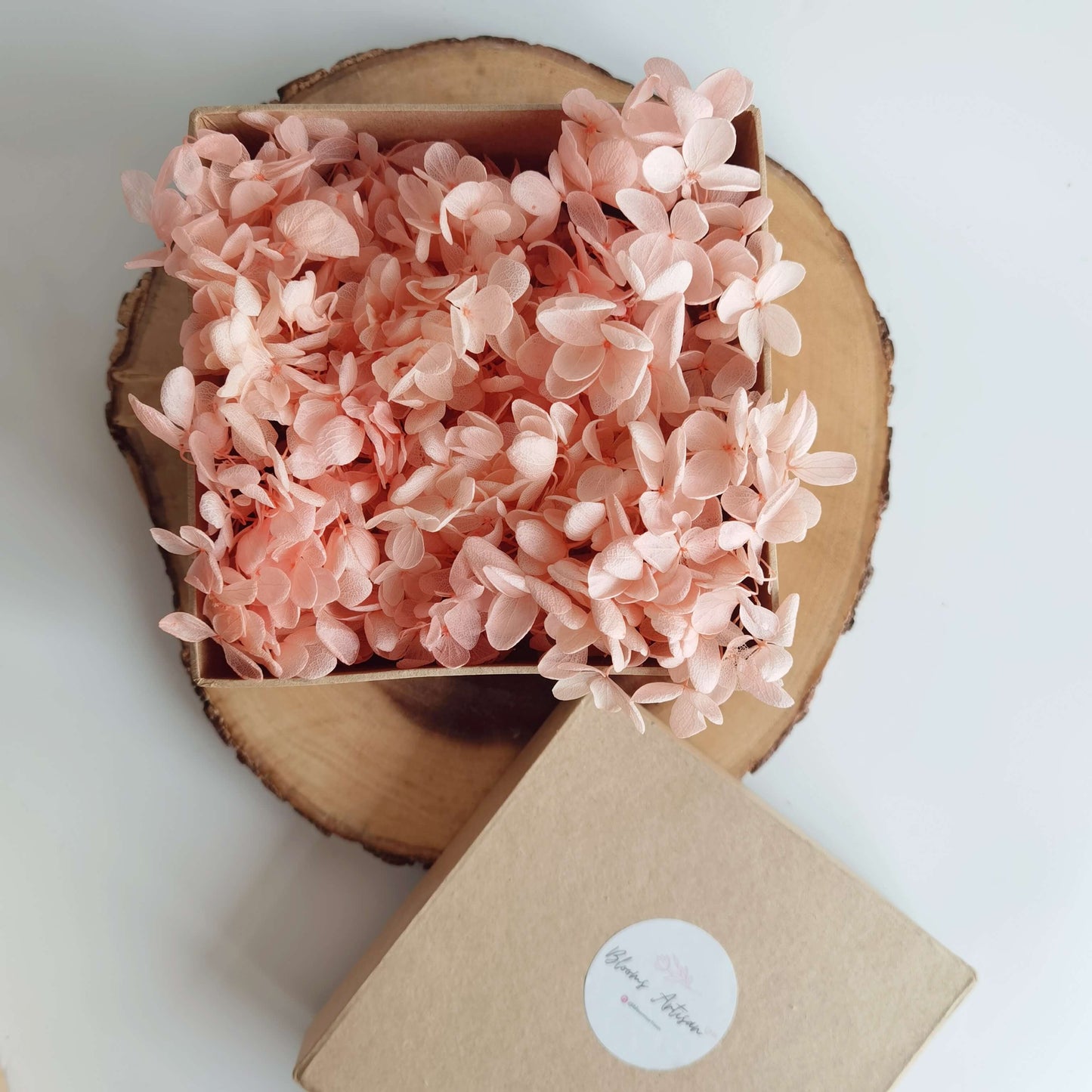 Hydrangea - Preserved Flowers | Blooms Artisan PH