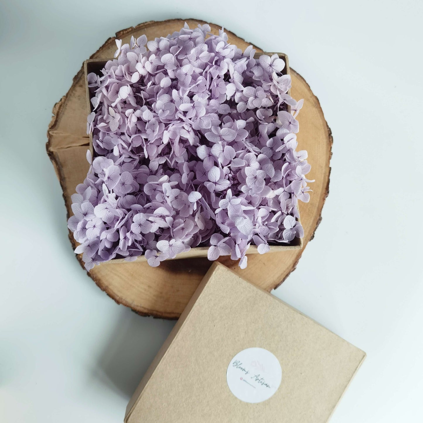 Hydrangea - Preserved Flowers | Blooms Artisan PH
