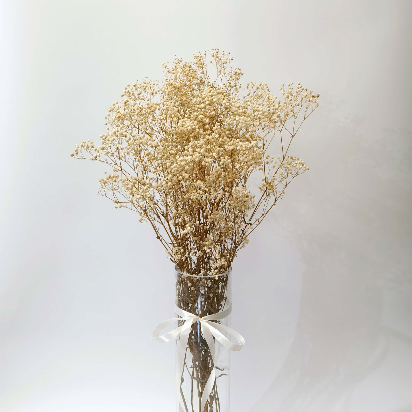 Gypsophila - Preserved Flowers | Blooms Artisan PH