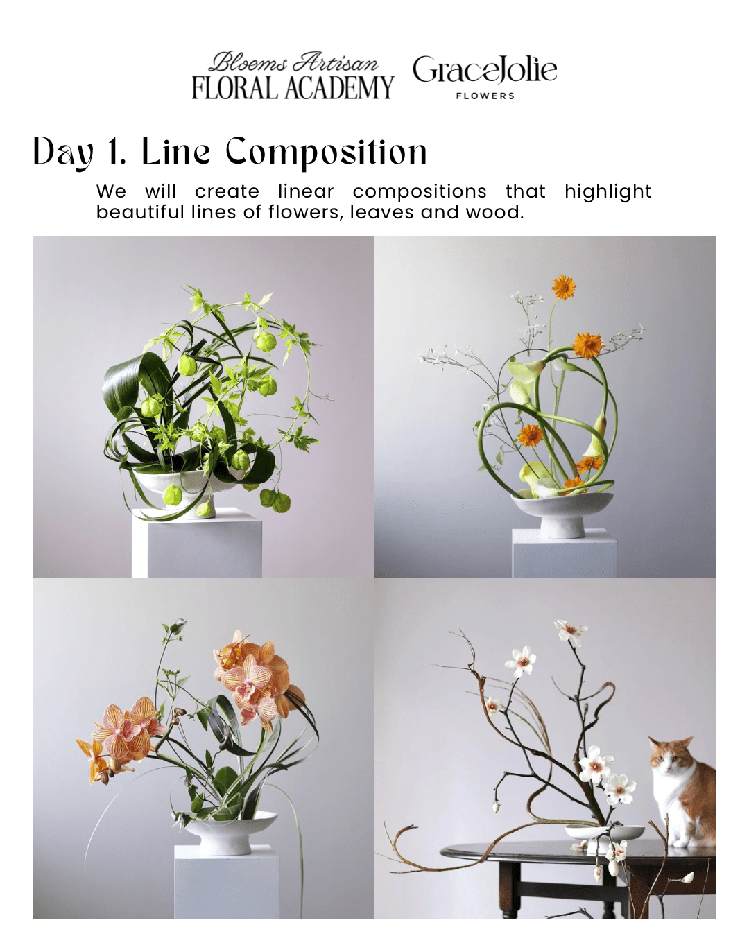 GraceJolie 2-Day Masterclass