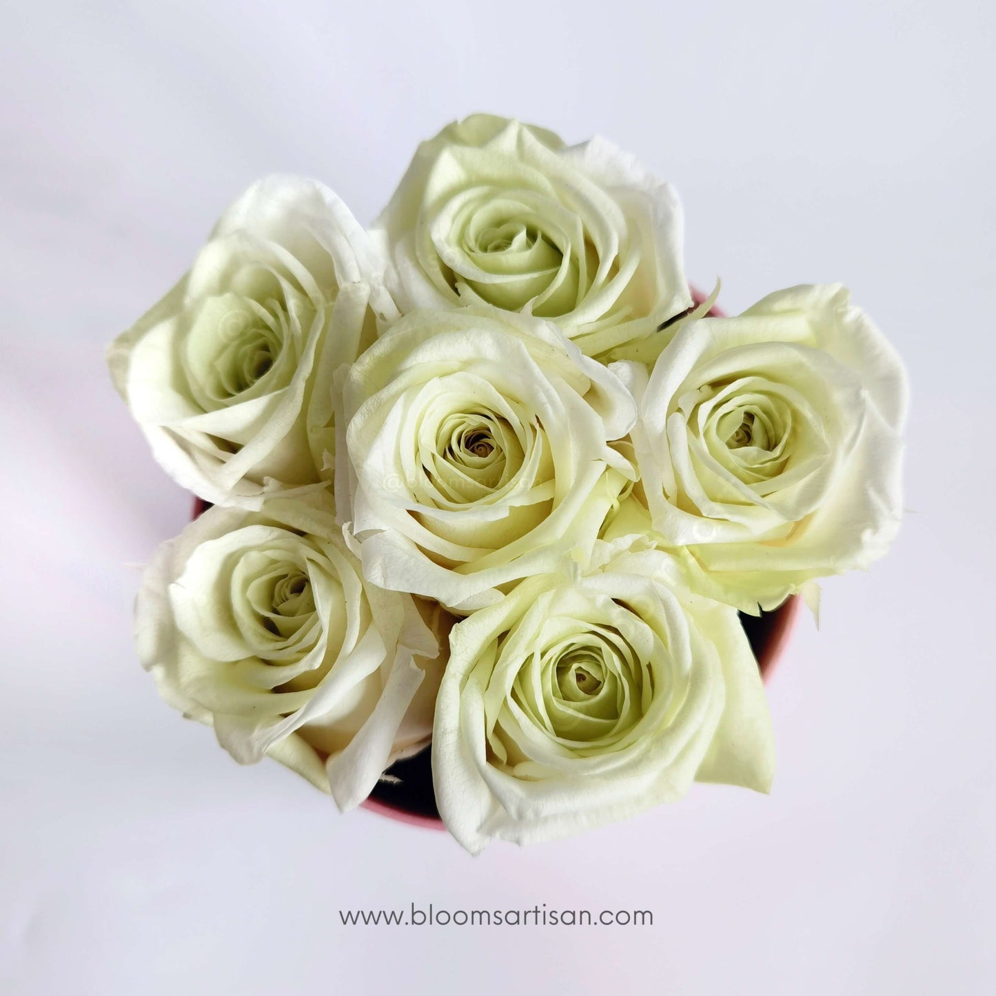 Preserved Apple Green Roses - Dried Flowers Arrangement | Blooms Artisan PH