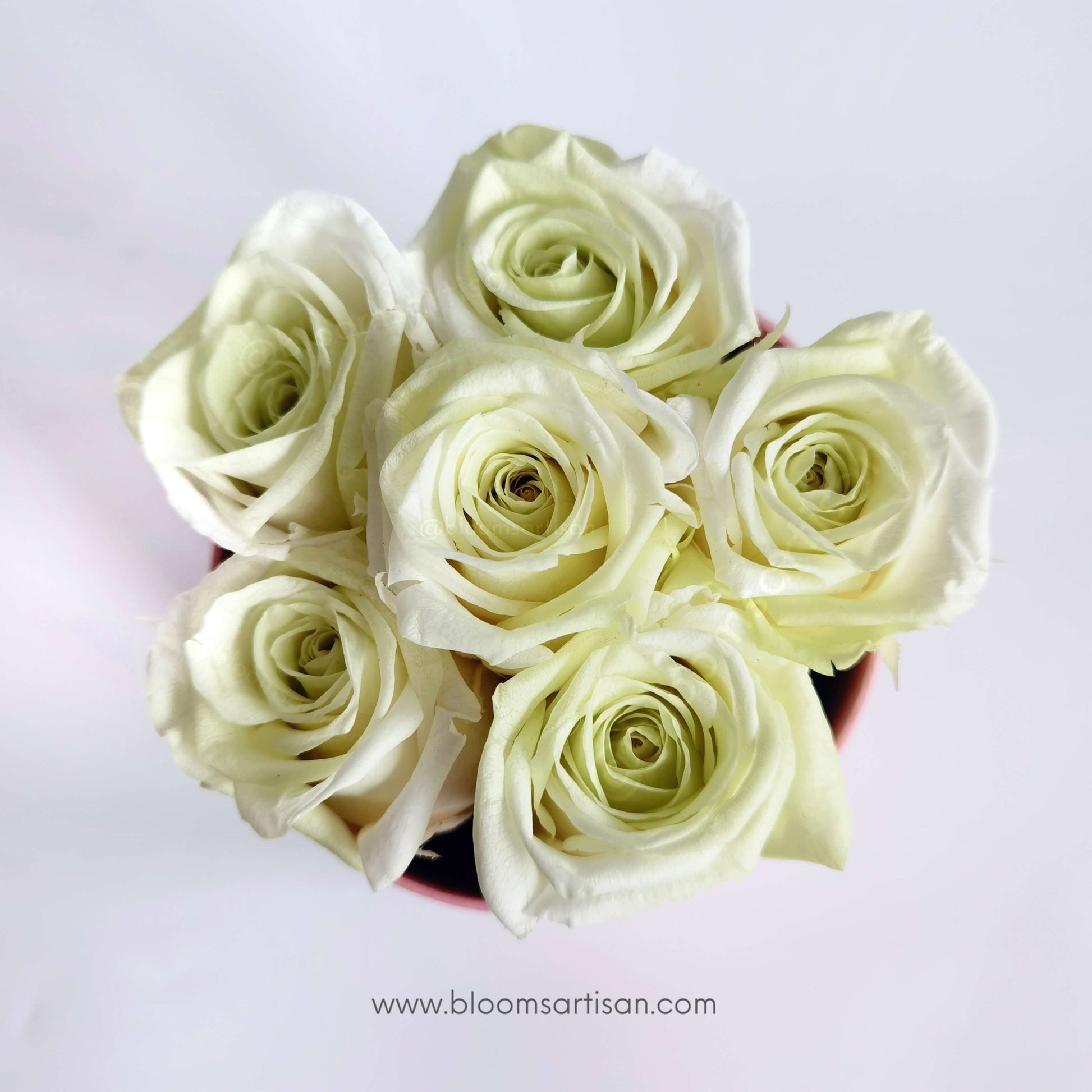Preserved Apple Green Roses - Dried Flowers Arrangement | Blooms Artisan PH