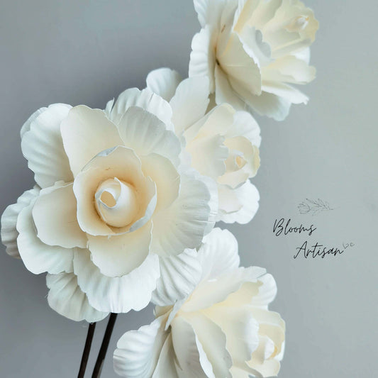 Asian Peony - Dried Flowers | Blooms Artisan PH