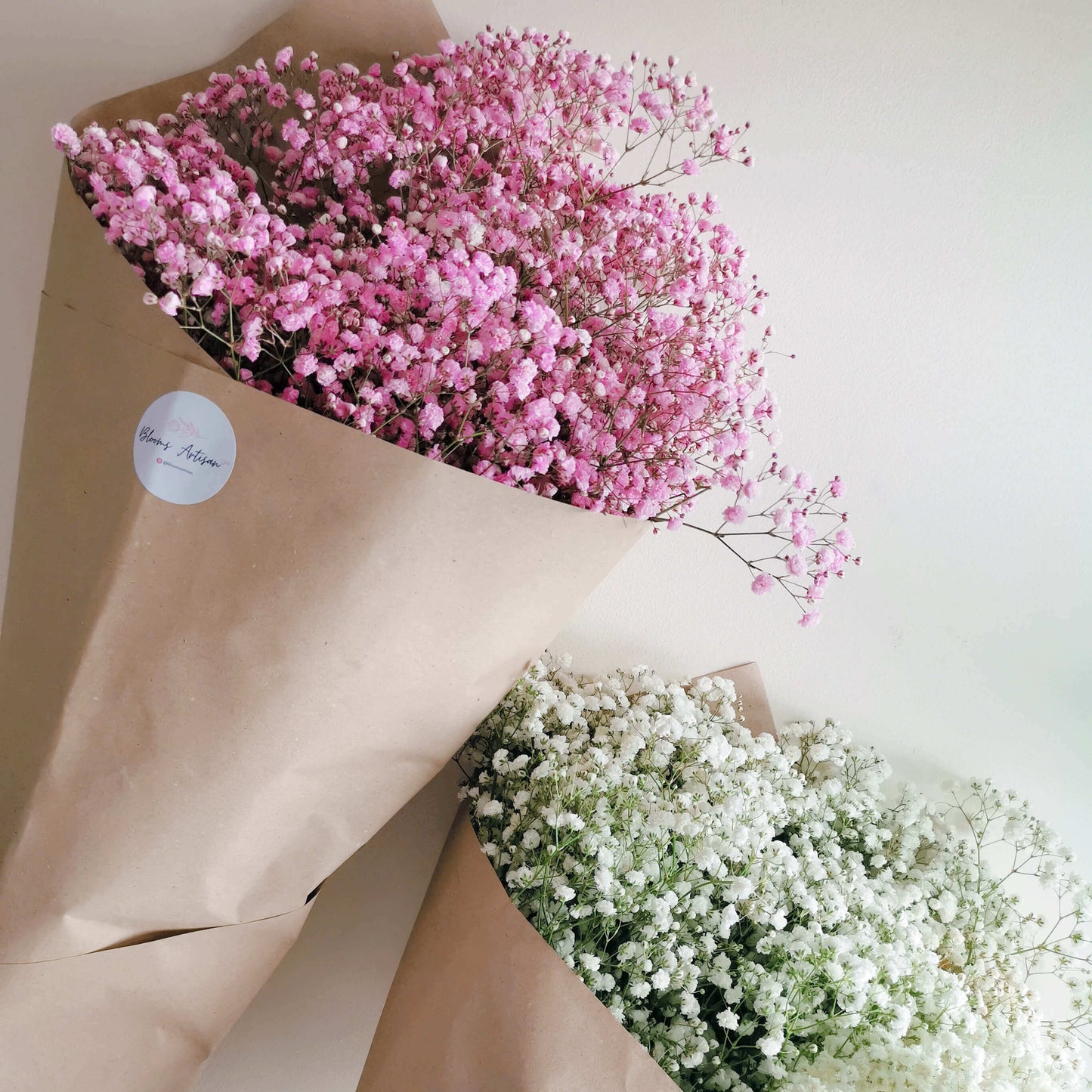 Gypsophila - Flowers Plants | Blooms Artisan PH