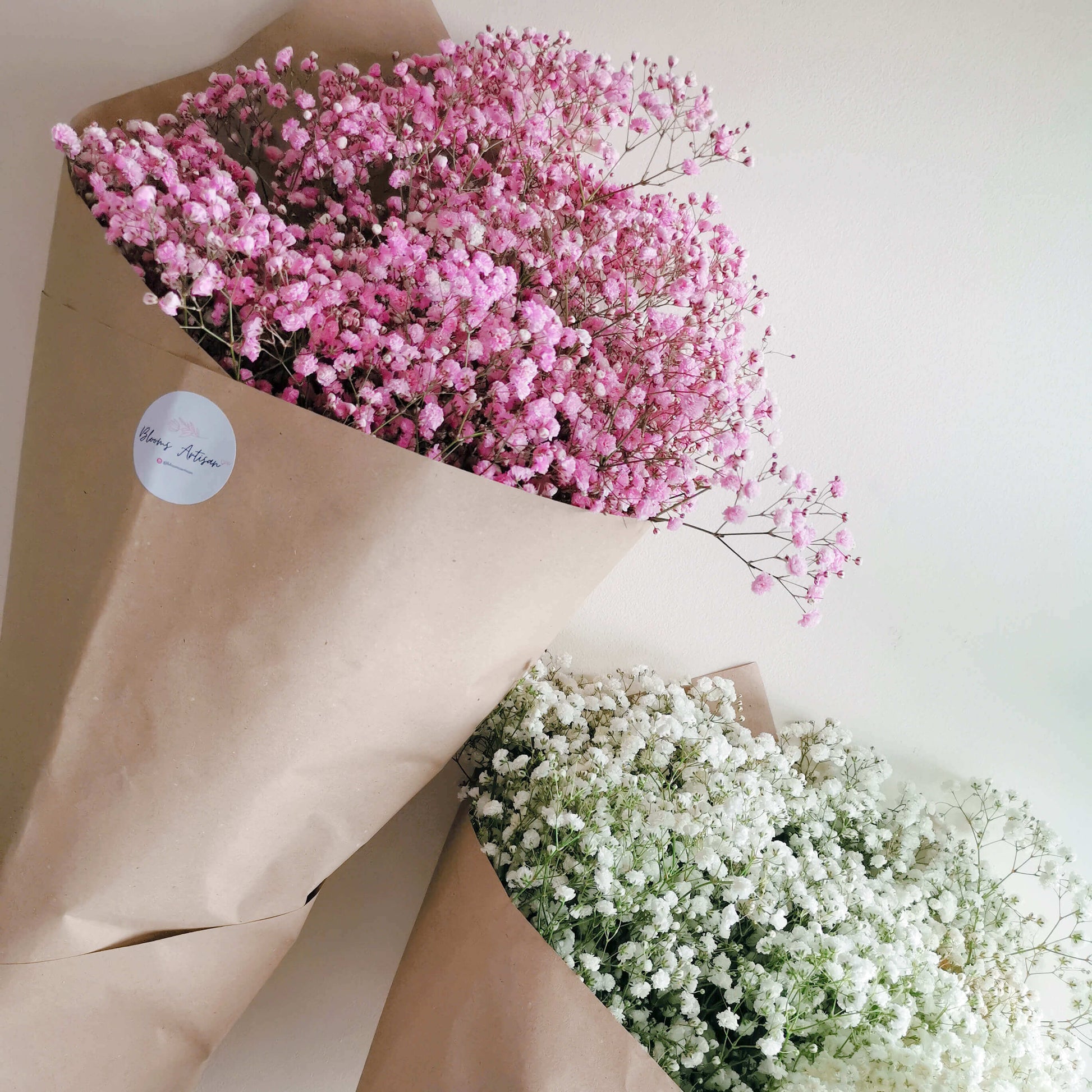 Gypsophila - Flowers Plants | Blooms Artisan PH