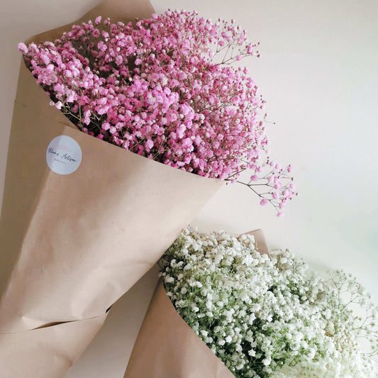 Gypsophila - Flowers Plants | Blooms Artisan PH