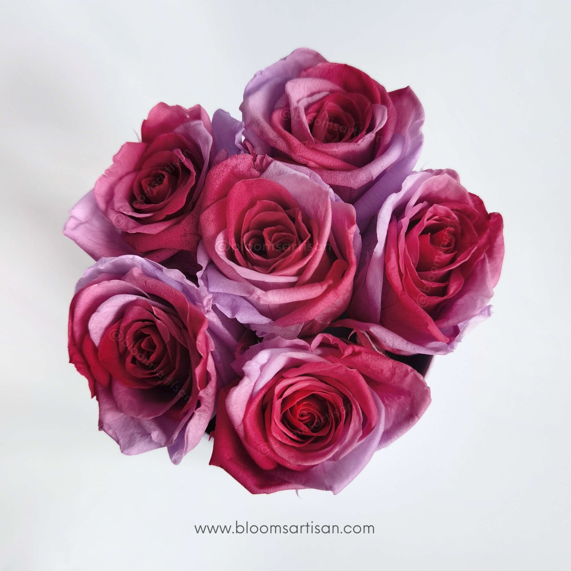Preserved Magenta Ombre Roses - Dried Flowers Arrangement | Blooms Artisan PH