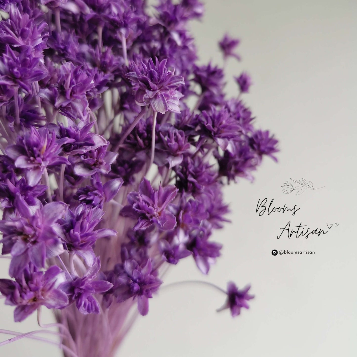 Hill Flower - Dried Flowers | Blooms Artisan PH