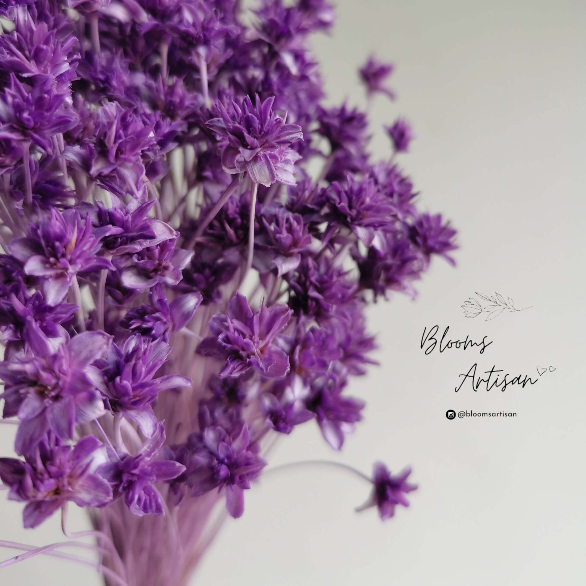 Hill Flower - Dried Flowers | Blooms Artisan PH
