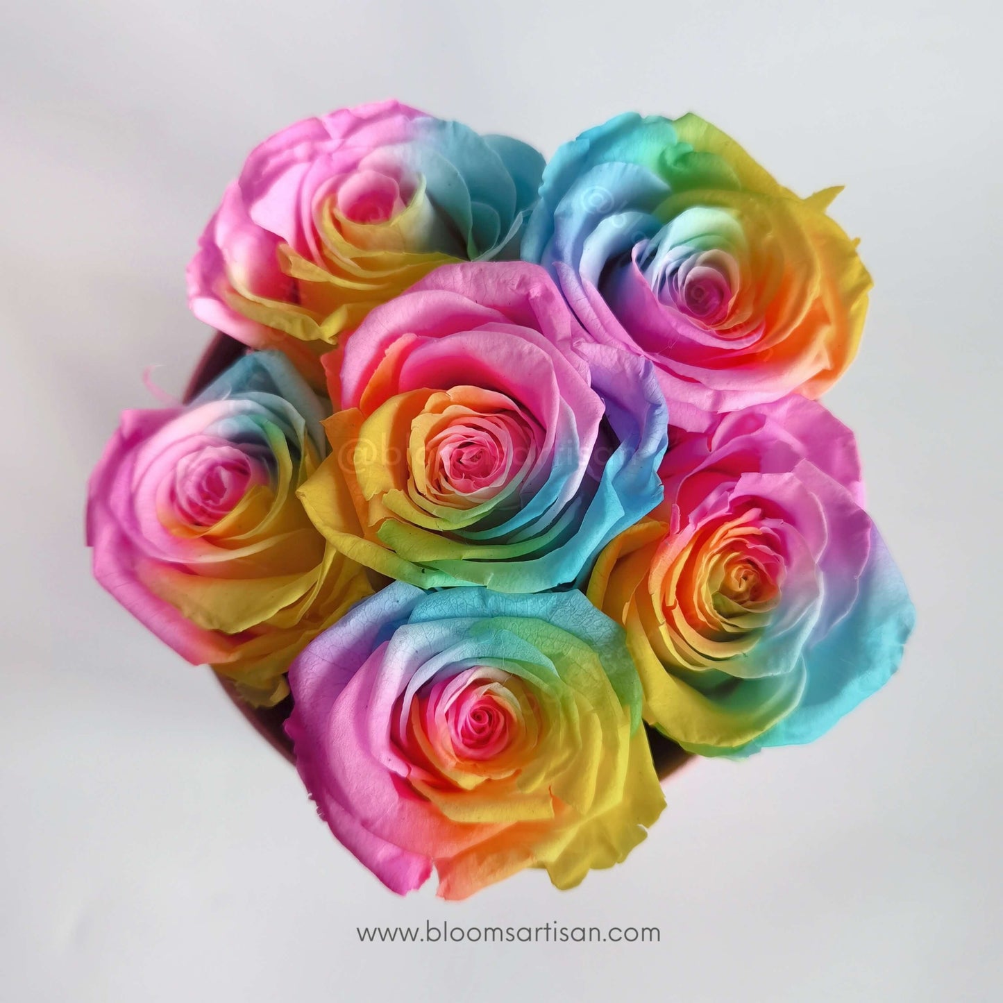 Preserved Rainbow Roses - Dried Flowers Arrangement | Blooms Artisan PH