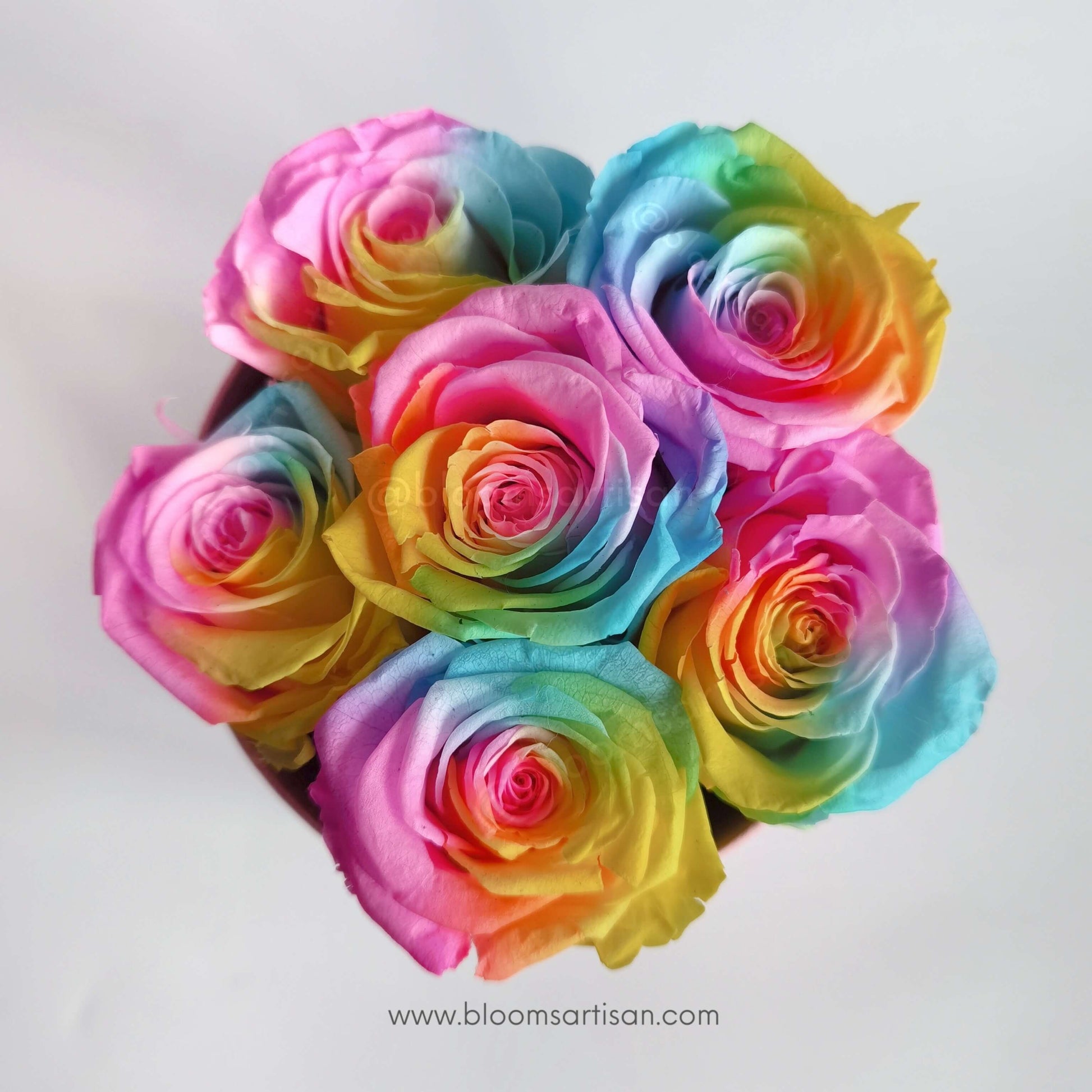 Preserved Rainbow Roses - Dried Flowers Arrangement | Blooms Artisan PH