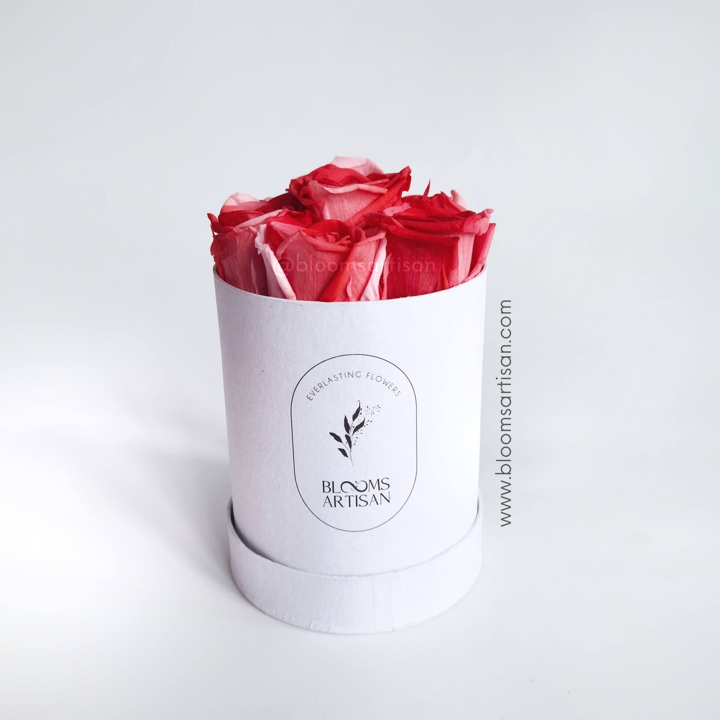 Preserved Red Ombre Roses - Dried Flowers Arrangement | Blooms Artisan PH