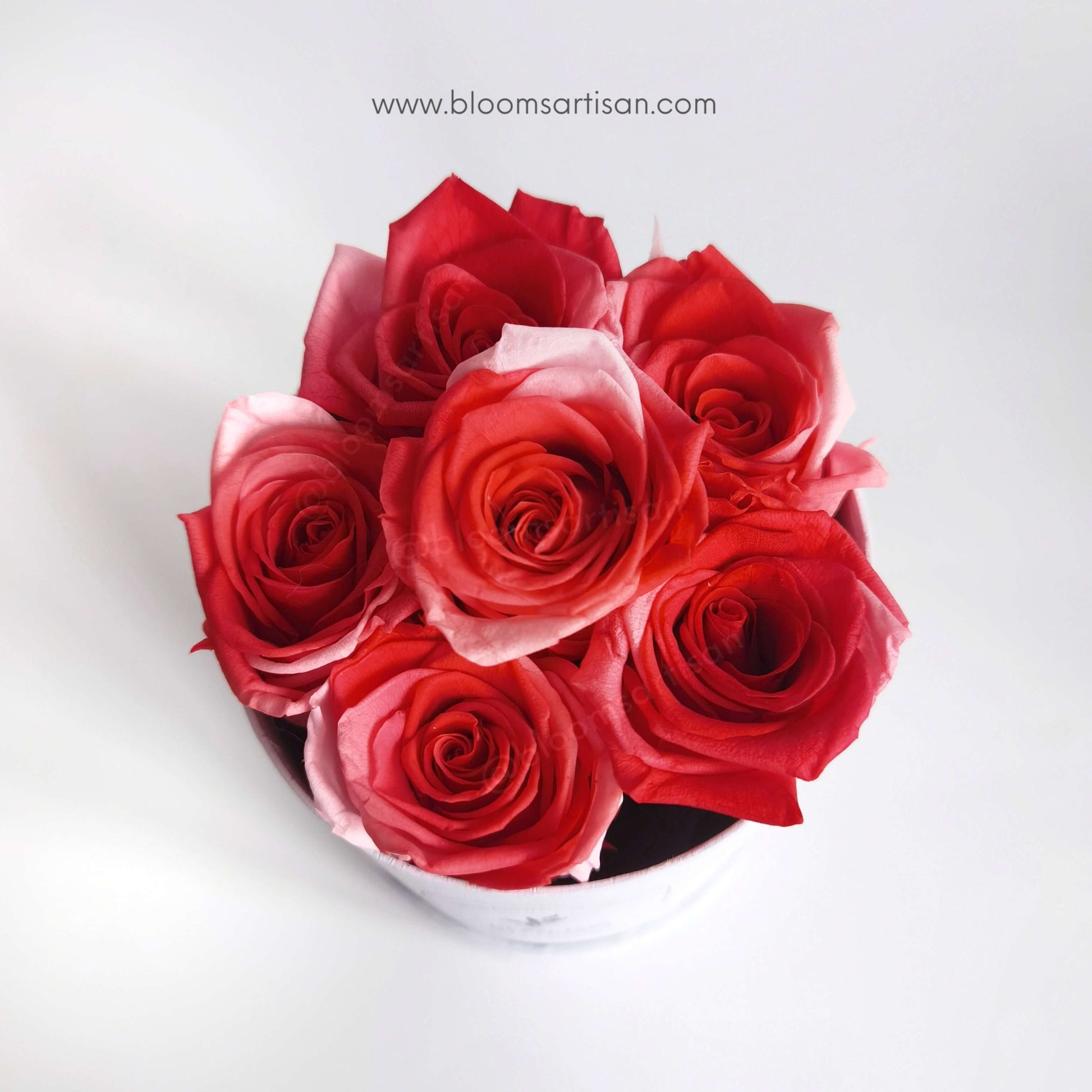 Preserved Red Ombre Roses - Dried Flowers Arrangement | Blooms Artisan PH
